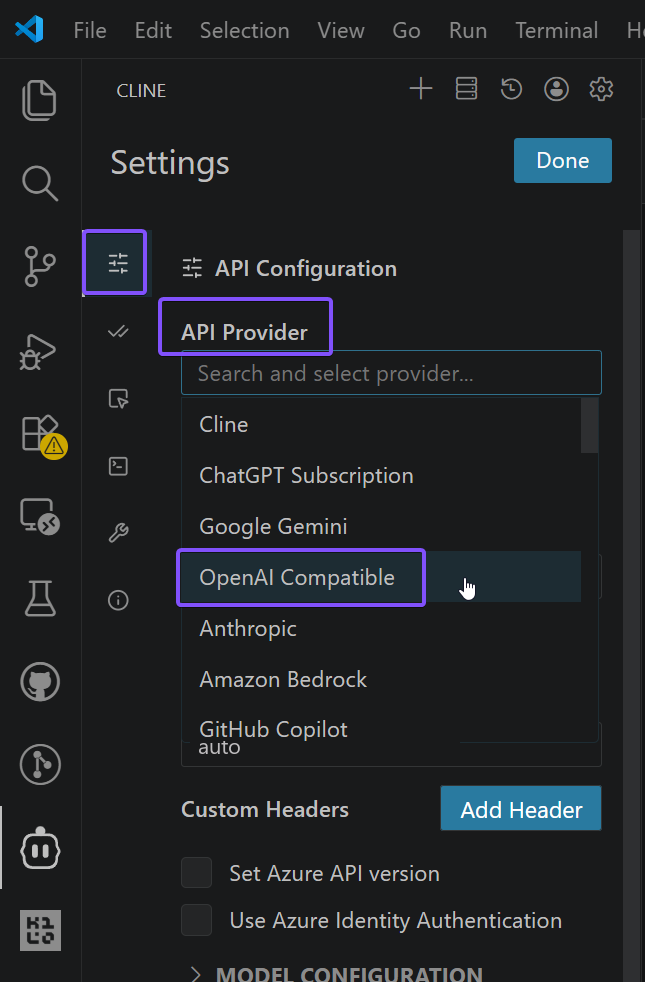 Cline: choosing the API provider