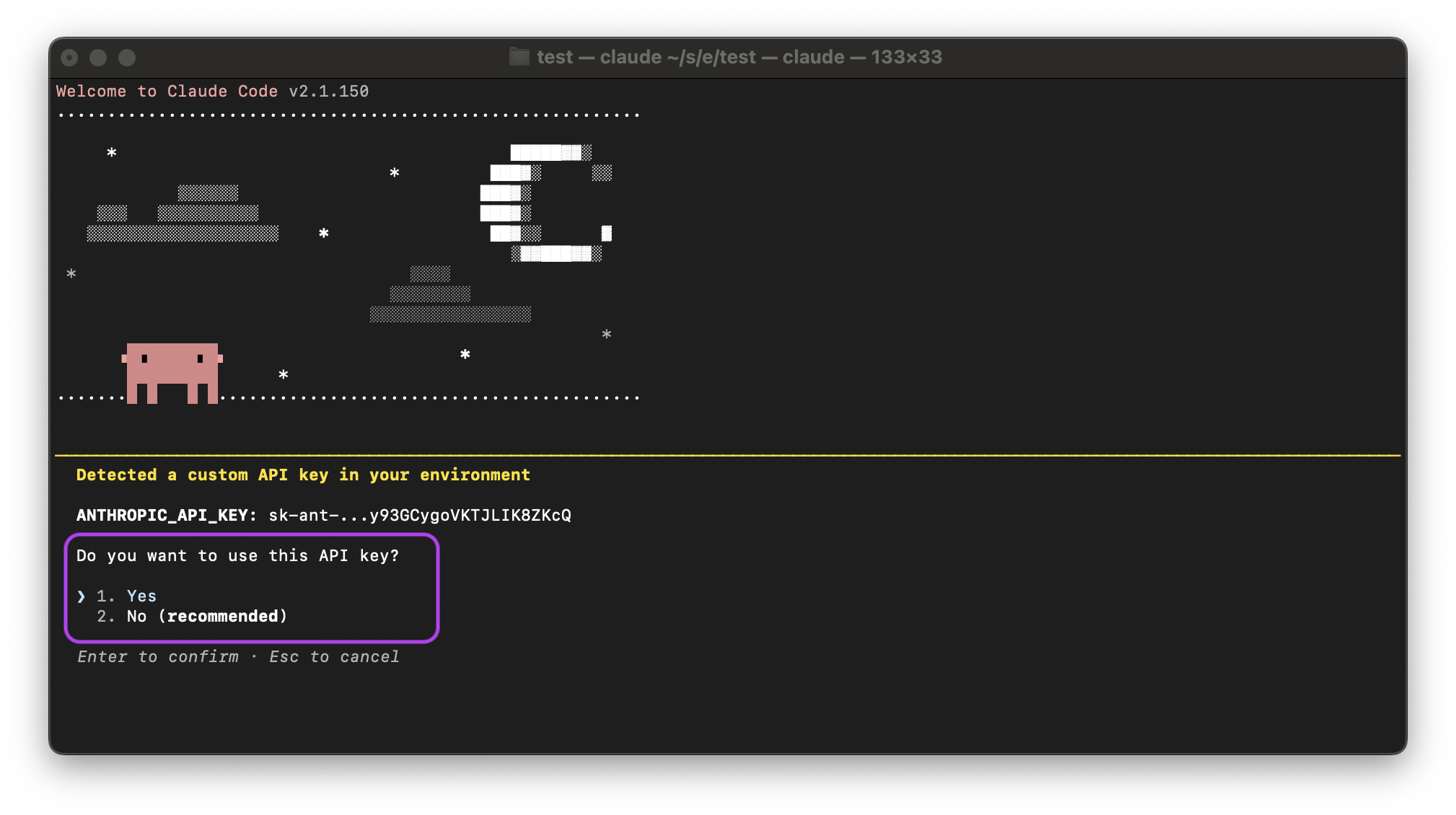 Claude Code: confirming the use of the API key