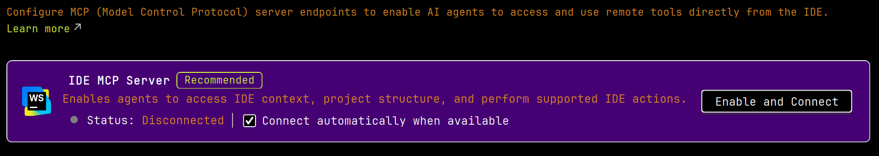 JetBrains MCP server setting in Explyt